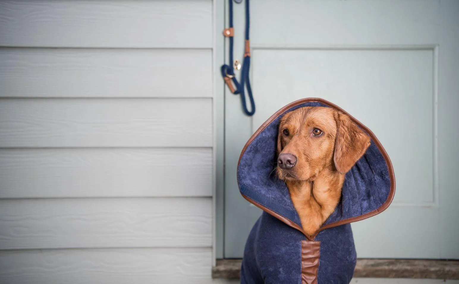 Ruff & Tumble Dog Drying coat Large L Mud Burgundy Navy