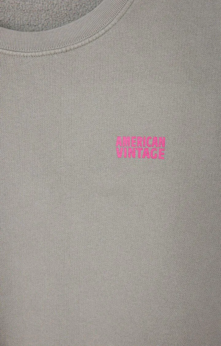 Sweatshirt Izu03a Castor-Vintage